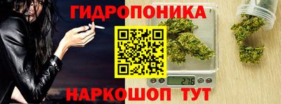 прущие крисы Кулебаки