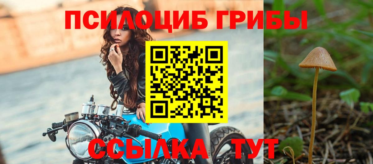 Галлюциногенные грибы мухоморы  Псилоцибиновые грибы Psilocybine cubensis  купить наркоту  Ярославль  Вход с VPN 