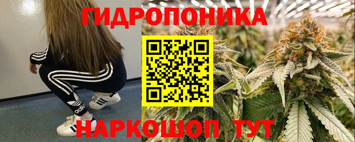 Канабис Amnesia  Бошки марихуана тримм  Вход с VPN  Бошки марихуана Ganja  Бошки марихуана THC 21%  Ярославль 